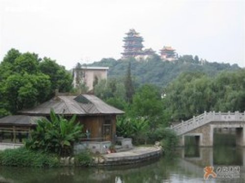 绣球公园