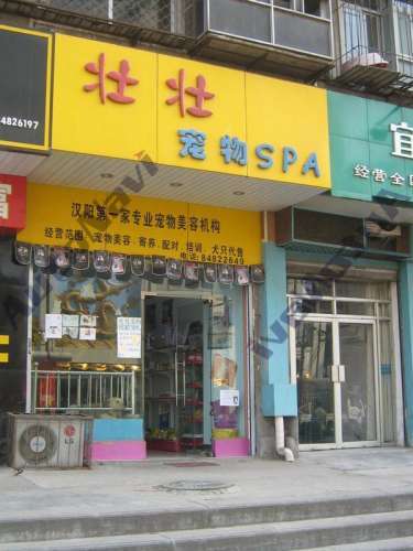 壮壮宠物SPA(腰路堤旗舰店)