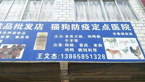 猫狗定点医院