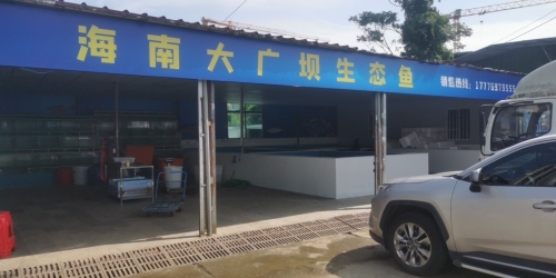 海南大广坝生态鱼(暂停营业)