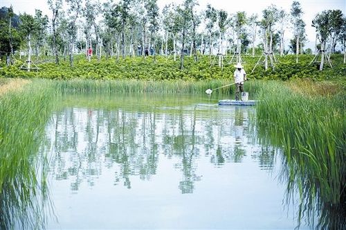 三亚东岸湿地公园