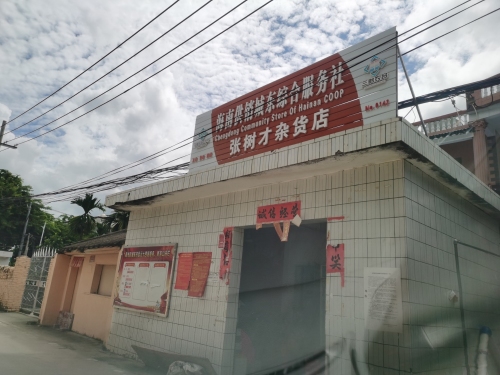 张树才杂货店
