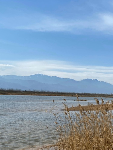 杨凌渭河湿地生态公园