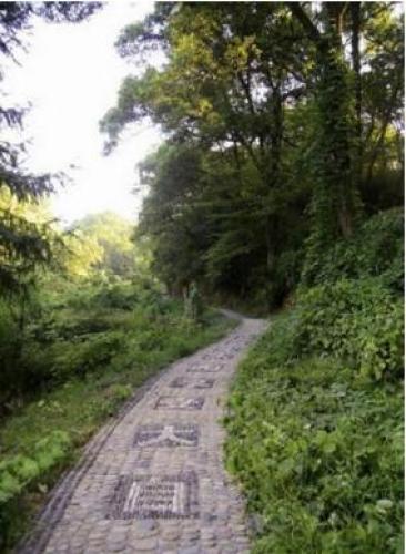 骆驼山森林公园