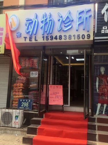 医宠动物医院