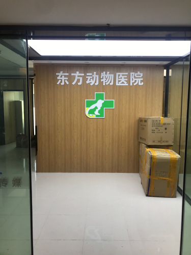 东方动物医院总部