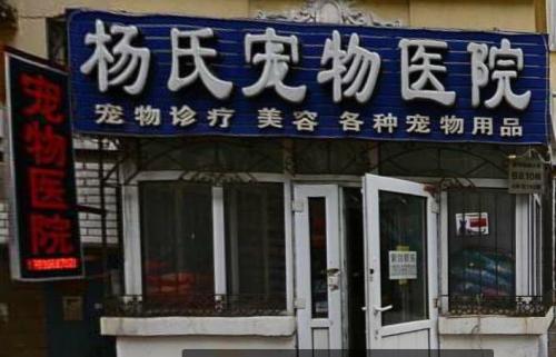 杨氏宠物诊所