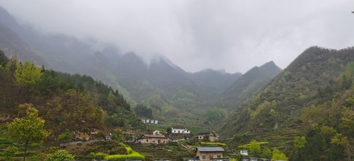 京康·云茶里·家茶小镇