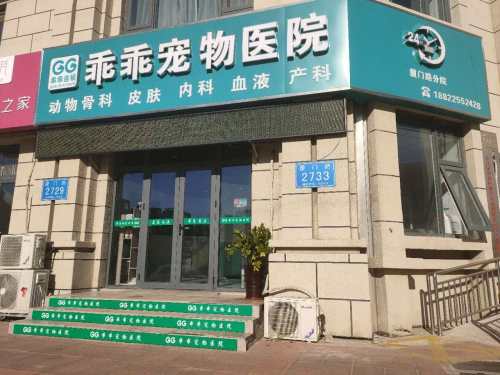 乖乖宠物医院厦门路分院