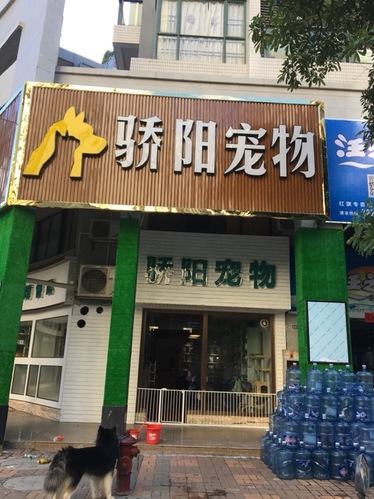 骄阳宠物医院(红旗店)