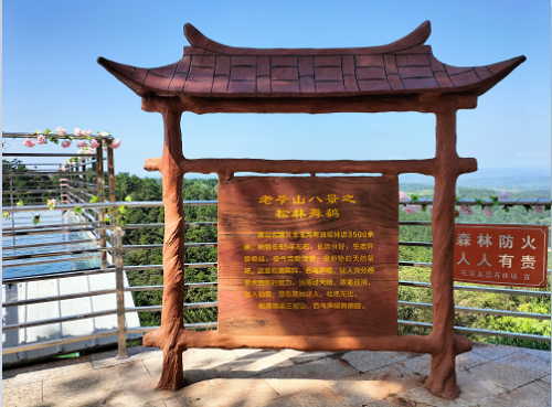 老爷山八景之松林舞鹤