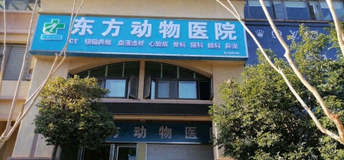 东方动物医院(前卫西路分院)