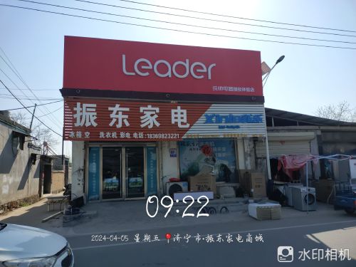 振东家电
