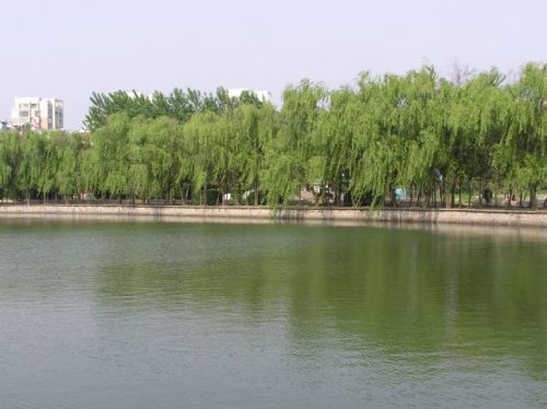 瑶海公园