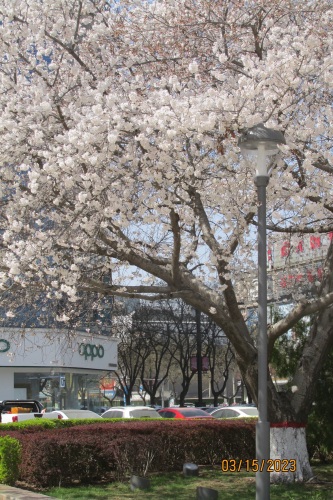 中心广场(前进路)