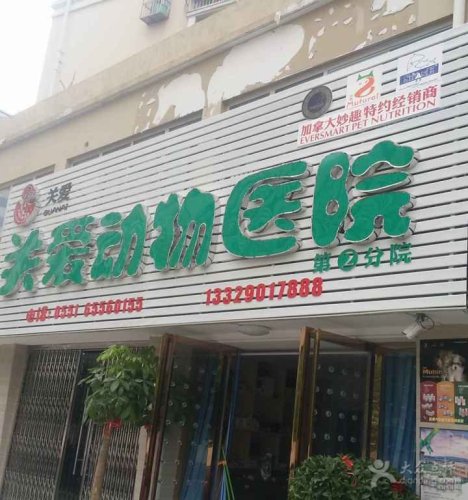 关爱动物医院第2分院