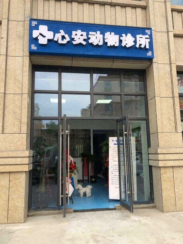 心安动物诊所