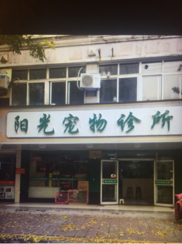 阳光宠物诊所(双港路)