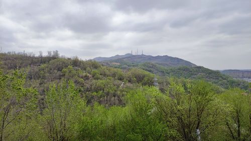 雅玛里克山森林公园