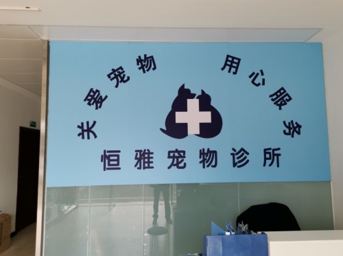 恒雅宠物诊所