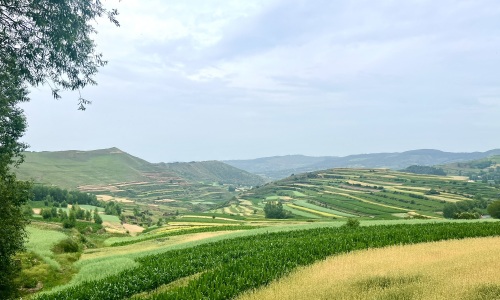 岳麓山公园