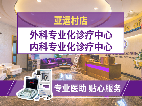 宠爱国际动物医院(亚运村店)