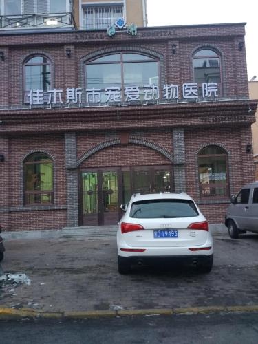 佳木斯市宠爱动物医院(通江街)