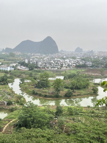 鲁家村