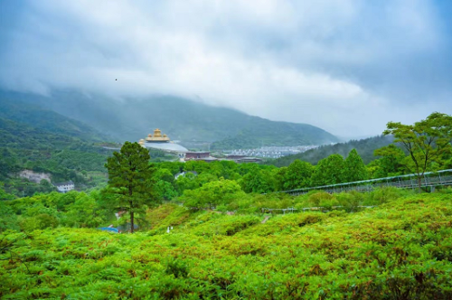 杜鹃谷森林公园