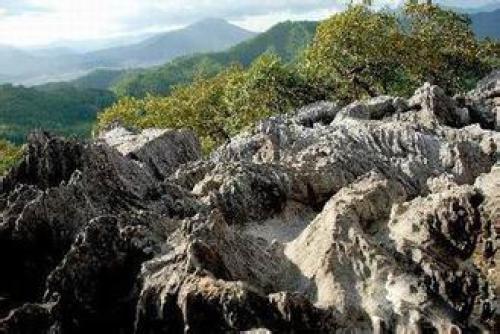 天阶山国家森林公园