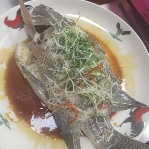 新政文武餐饮店