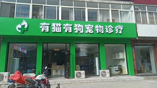 有猫有狗宠物诊疗