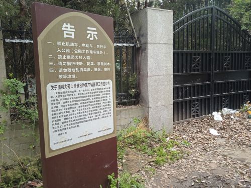 蜀山森林公园-清风林