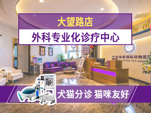 宠爱国际动物医院(大望路店)