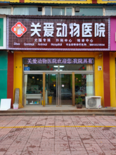 关爱动物医院