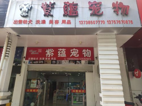 台州市黄岩迪曼宠物诊所