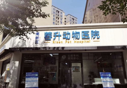 蓉升动物医院