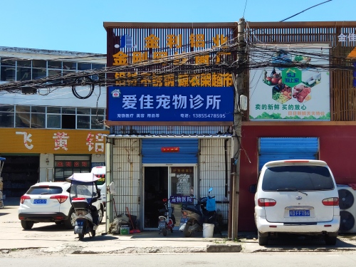 爱佳宠物诊所
