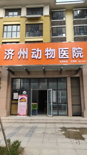 济州动物医院