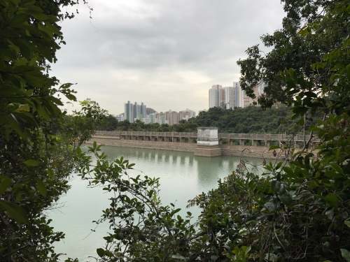 Aberdeen Lower Reservoir香港仔下水塘