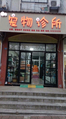 宠物诊所