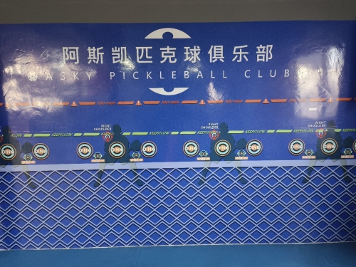 阿斯凯匹克球俱乐部
