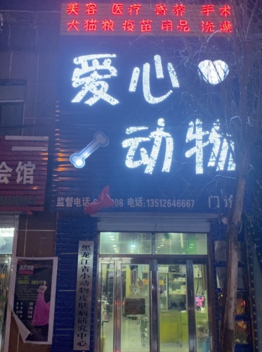 桦南县爱心动物医院新店
