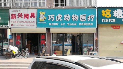 巧虎动物医疗门诊