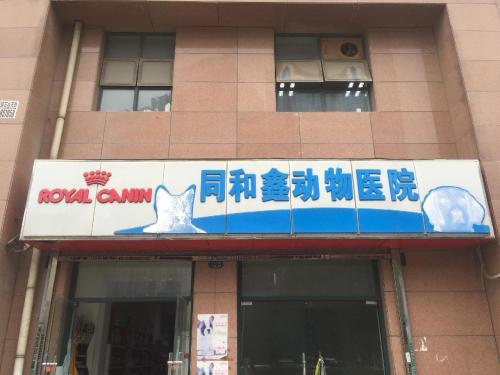 同和鑫动物医院(姑娘巷)