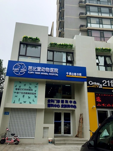芭比堂动物医院千佛山路分院