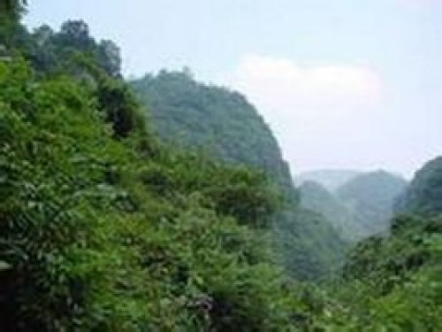白鹿森林公园