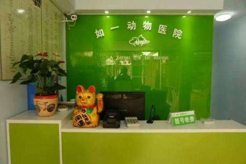 如一动物医院