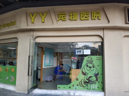 YY宠物医院
