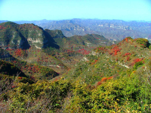 仙台山[河南]